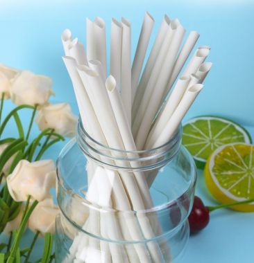 Bamboo Fiber Straw